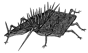 Иллюстрация к книге — Лабиринт Мечтающих Книг [_141.jpg]