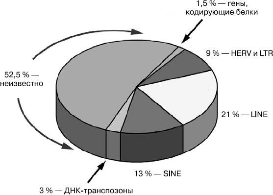 Иллюстрация к книге — Таинственный геном человека [i_002.jpg]