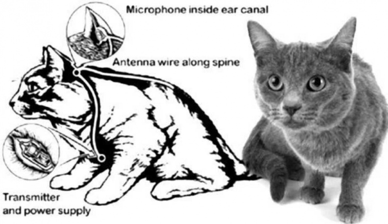 Иллюстрация к книге — Шпионаж и политика. Тайная хрестоматия [i_081.jpg]