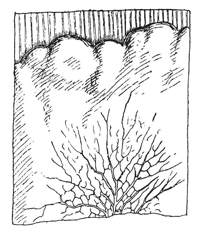 Иллюстрация к книге — Самые сенсационные материалы [_19.jpg]