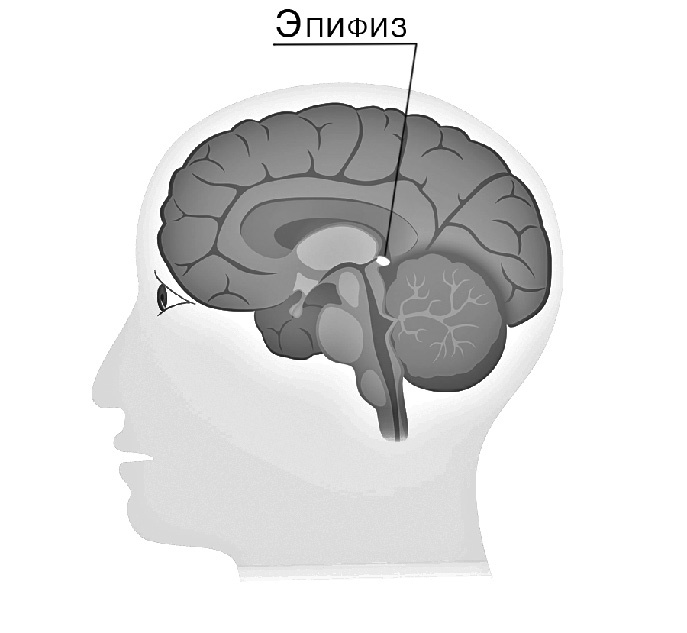 Иллюстрация к книге — Самые сенсационные материалы [_27.jpg]