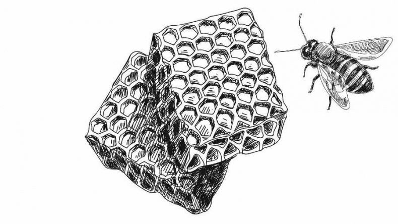 Иллюстрация к книге — Самые сенсационные материалы [_7.jpg]