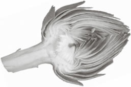 Иллюстрация к книге — Кухонные шпаргалки [_41.jpg]