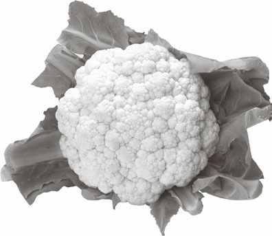 Иллюстрация к книге — Кухонные шпаргалки [_46.jpg]