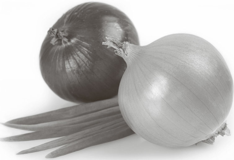 Иллюстрация к книге — Кухонные шпаргалки [_49.jpg]