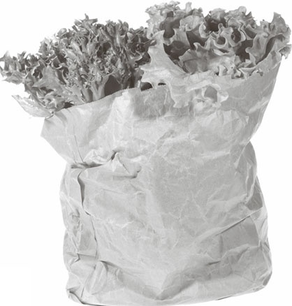 Иллюстрация к книге — Кухонные шпаргалки [_54.jpg]