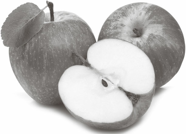 Иллюстрация к книге — Кухонные шпаргалки [_64.jpg]