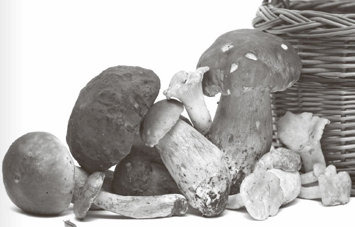 Иллюстрация к книге — Кухонные шпаргалки [_65.jpg]