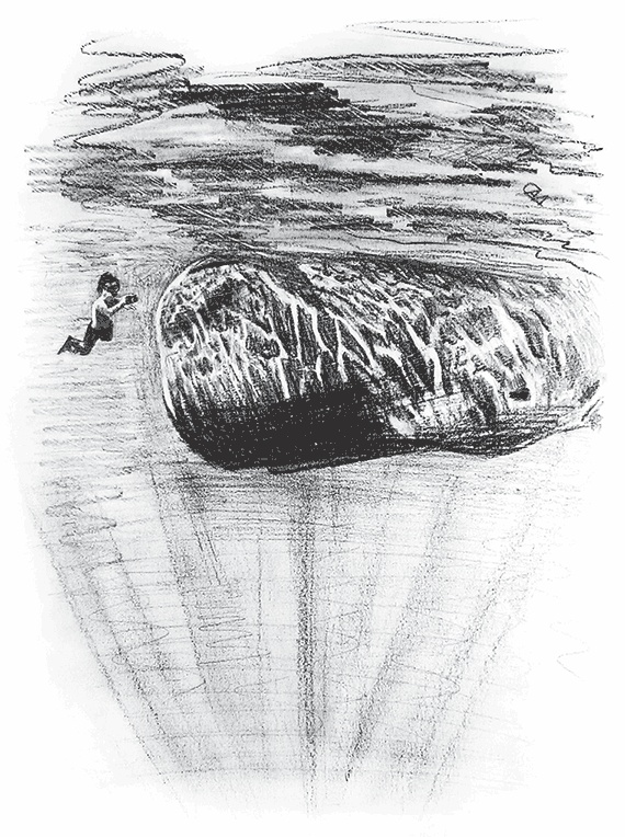 Иллюстрация к книге — Управляй удовольствием! Творчество, поведенческий маркетинг и корпорации [i_001.jpg]