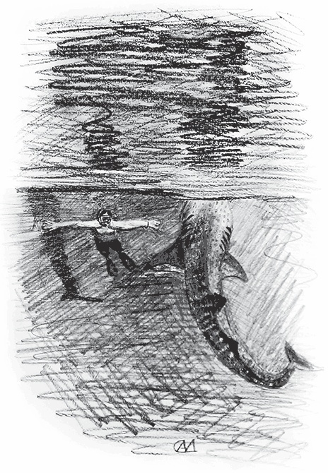 Иллюстрация к книге — Управляй удовольствием! Творчество, поведенческий маркетинг и корпорации [i_007.jpg]