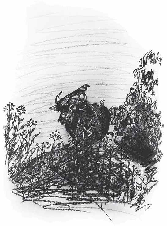 Иллюстрация к книге — Управляй удовольствием! Творчество, поведенческий маркетинг и корпорации [i_018.jpg]