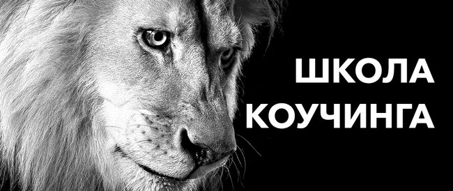 Иллюстрация к книге — Бизнес. Законы, которые видны только с высоты успеха [i_015.jpg]