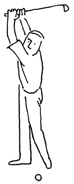 Иллюстрация к книге — Говори на языке диаграмм. Пособие по визуальным коммуникациям [i_463.jpg]