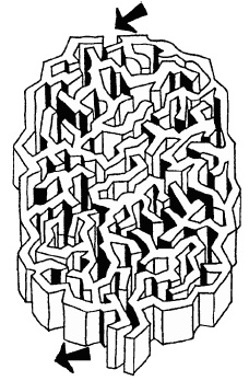 Иллюстрация к книге — Говори на языке диаграмм. Пособие по визуальным коммуникациям [i_470.jpg]