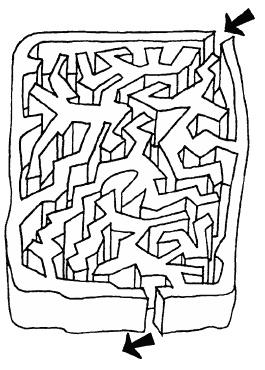 Иллюстрация к книге — Говори на языке диаграмм. Пособие по визуальным коммуникациям [i_471.jpg]