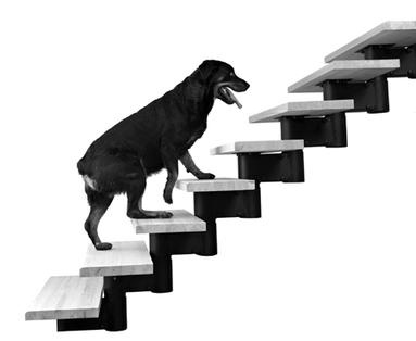 Иллюстрация к книге — Как придумать идею, если вы не Огилви [i_015.jpg]