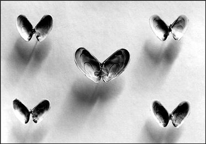 Иллюстрация к книге — Как придумать идею, если вы не Огилви [i_102.jpg]