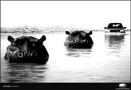 Иллюстрация к книге — Как придумать идею, если вы не Огилви [i_116.jpg]