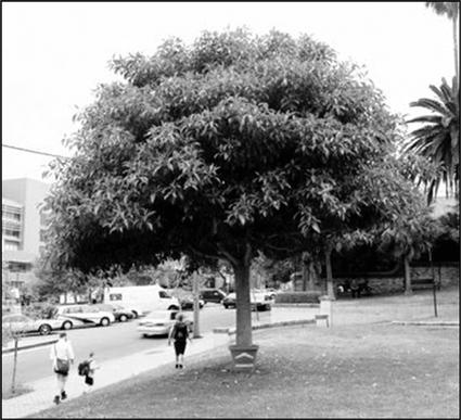 Иллюстрация к книге — Как придумать идею, если вы не Огилви [i_173.jpg]