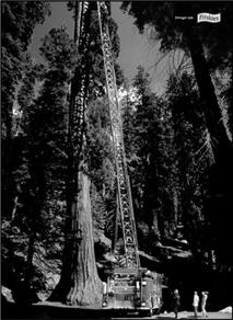 Иллюстрация к книге — Как придумать идею, если вы не Огилви [i_190.jpg]