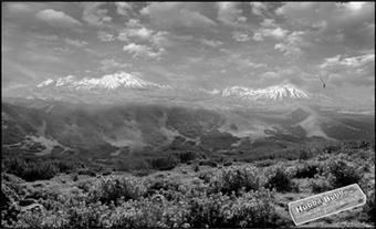 Иллюстрация к книге — Как придумать идею, если вы не Огилви [i_191.jpg]