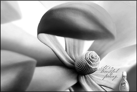 Иллюстрация к книге — Реклама. Игра на эмоциях [i_063.jpg]