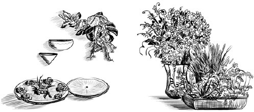 Иллюстрация к книге — Сценарии и организация корпоративных праздников [i_014.jpg]