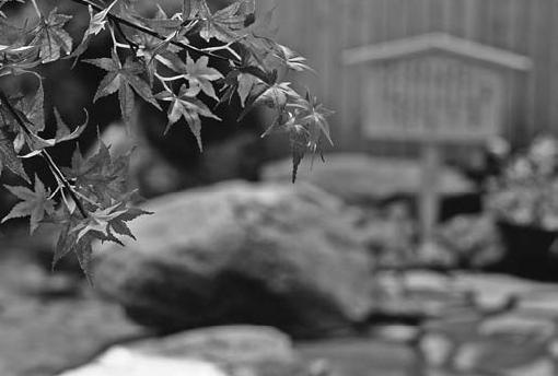 Иллюстрация к книге — Обнаженный оратор. Дао презентации [i_007.jpg]