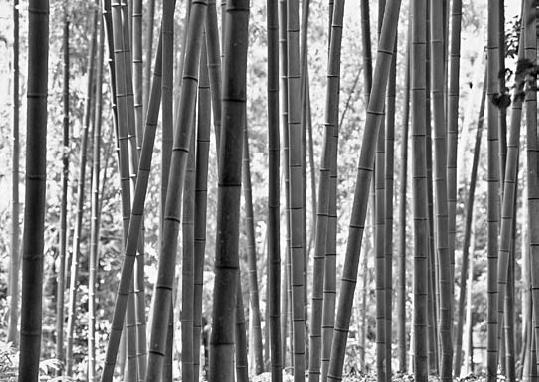 Иллюстрация к книге — Обнаженный оратор. Дао презентации [i_031.jpg]