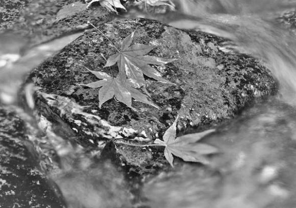 Иллюстрация к книге — Обнаженный оратор. Дао презентации [i_066.jpg]