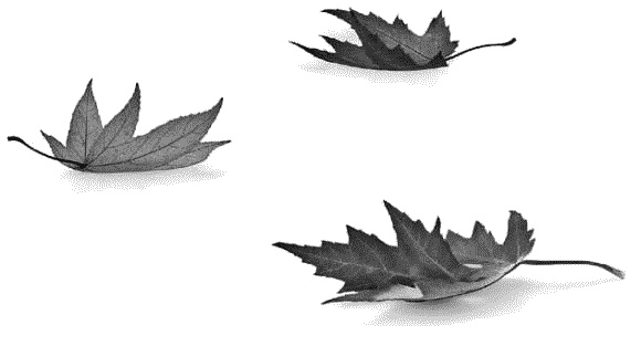 Иллюстрация к книге — Обнаженный оратор. Дао презентации [i_073.jpg]