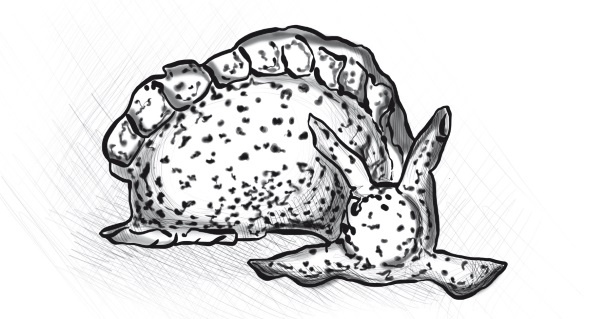 Иллюстрация к книге — Теория развития рынка. Психология потребления [i_022.jpg]