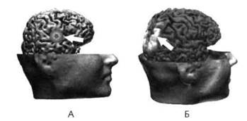 Иллюстрация к книге — Нейромаркетинг. Визуализация эмоций [i_002.jpg]