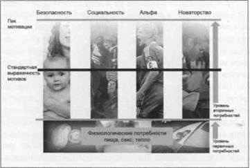 Иллюстрация к книге — Нейромаркетинг. Визуализация эмоций [i_004.jpg]