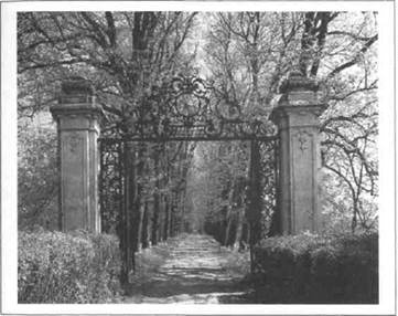 Иллюстрация к книге — Нейромаркетинг. Визуализация эмоций [i_020.jpg]