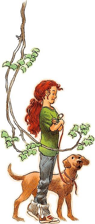 Иллюстрация к книге — Семь диких сестер [i_009.jpg]