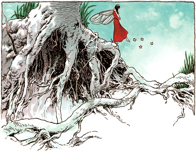 Иллюстрация к книге — Семь диких сестер [i_013.jpg]