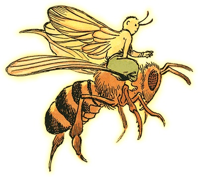 Иллюстрация к книге — Семь диких сестер [i_036.jpg]