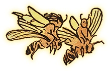 Иллюстрация к книге — Семь диких сестер [i_039.jpg]