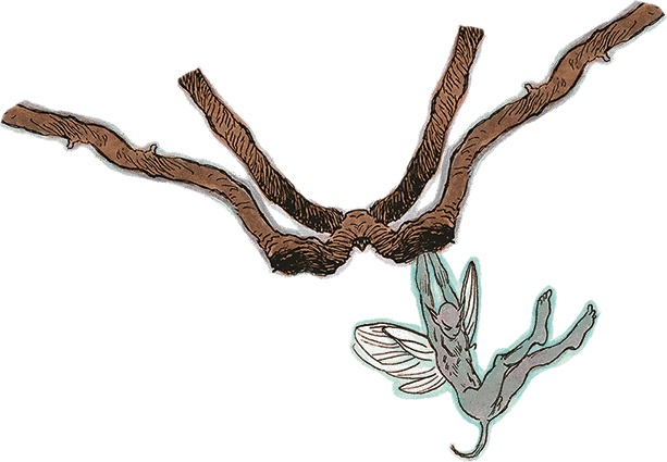 Иллюстрация к книге — Семь диких сестер [i_040.jpg]