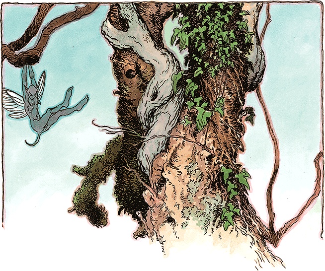 Иллюстрация к книге — Семь диких сестер [i_049.jpg]