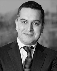 Иллюстрация к книге — Инвестиции в инфраструктуру: Деньги, проекты, интересы. ГЧП, концессии, проектное финансирование [i_067.jpg]