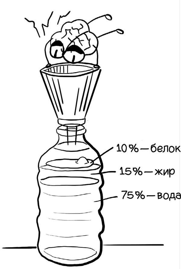Иллюстрация к книге — Как запомнить всё! Секреты чемпиона мира по мнемотехнике [i_005.jpg]