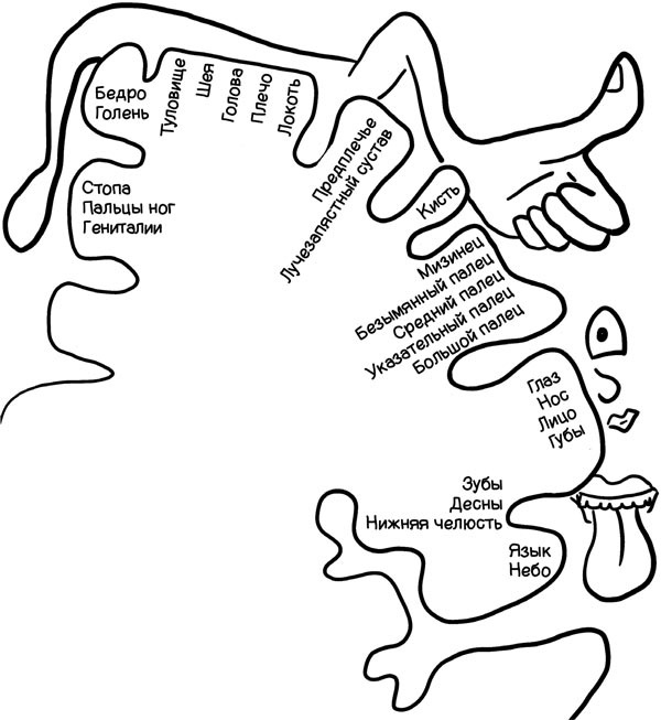 Иллюстрация к книге — Как запомнить всё! Секреты чемпиона мира по мнемотехнике [i_010.jpg]