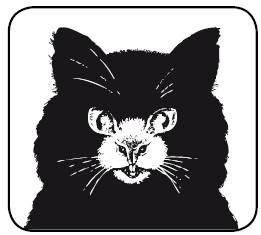 Иллюстрация к книге — Деньги [i_004.jpg]