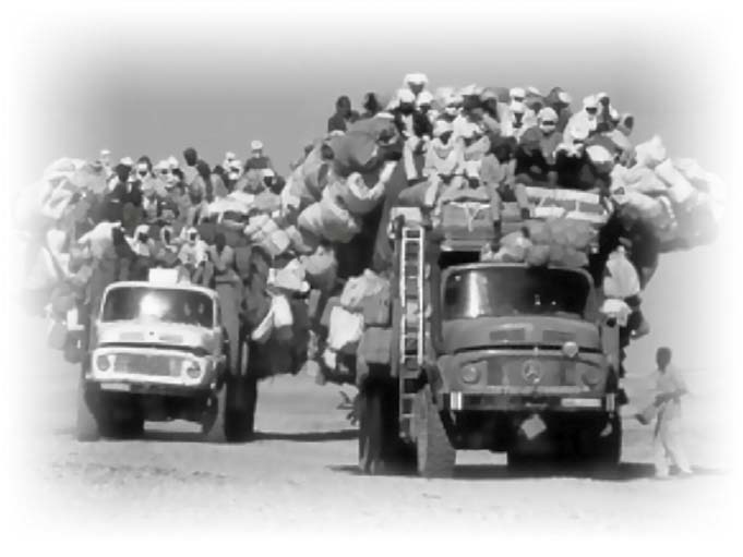 Иллюстрация к книге — Нецензурные заметки Евгения Сивкова о российском консалтинге [i_065.jpg]