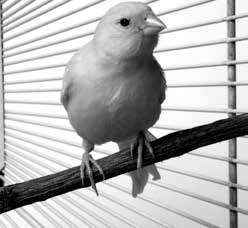 Иллюстрация к книге — Нецензурные заметки Евгения Сивкова о российском консалтинге [i_090.jpg]