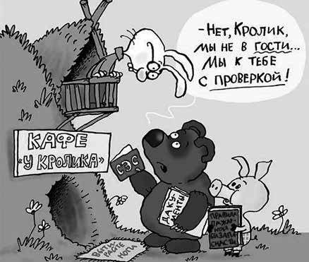 Иллюстрация к книге — Нецензурные заметки Евгения Сивкова о российском консалтинге [i_115.jpg]