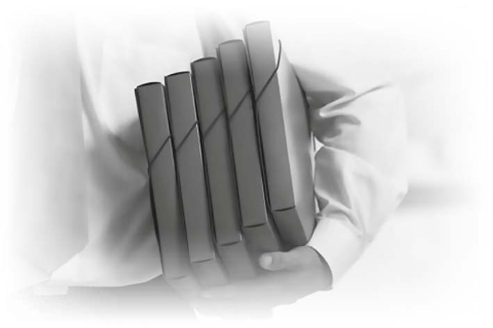 Иллюстрация к книге — Нецензурные заметки Евгения Сивкова о российском консалтинге [i_149.jpg]