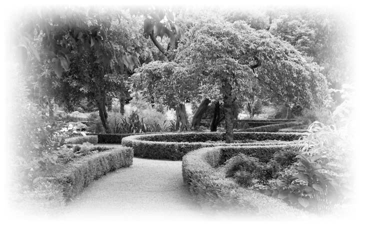 Иллюстрация к книге — Нецензурные заметки Евгения Сивкова о российском консалтинге [i_162.jpg]